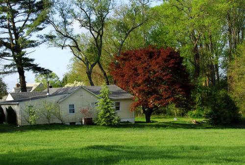  「真实生活」走进美国农村：看农民真实生活是怎样的！看完就知