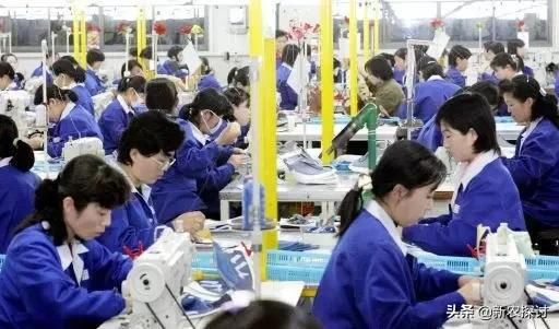 专家说近5年，4类“城里人”八成得回农村，其中有你吗？怎么看