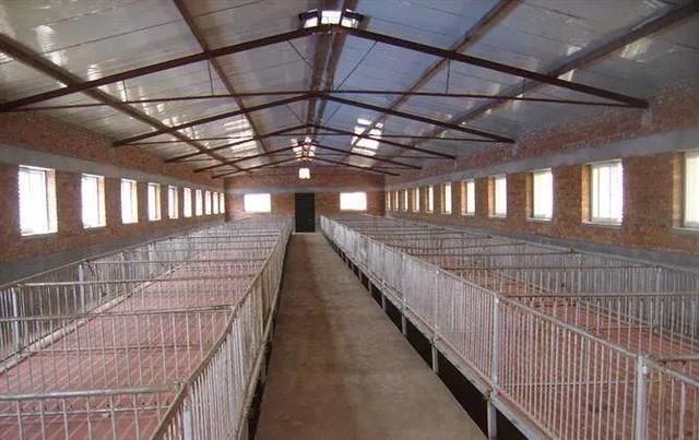  猪饲料■建1000只猪场需要多少钱？小猪饲料除外？