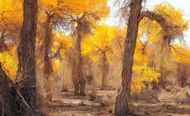 专属于十月的旅行目的地 你知道几个?