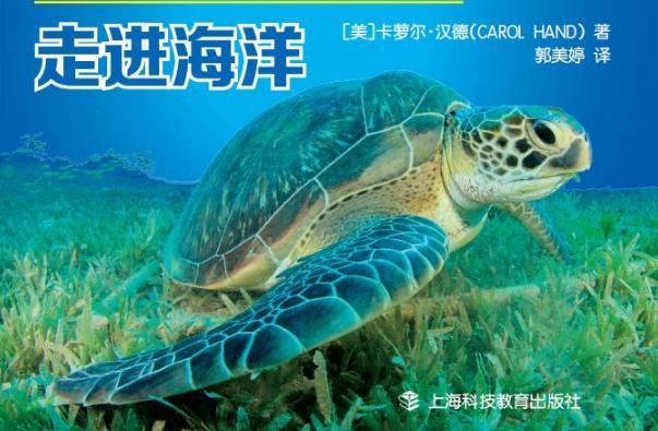 苔原:海龟马拉松也能直播?还有外国网友在线捐赠支持心仪选手