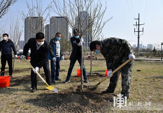  『党员干部』黑龙江省住建厅党员干部开展义务植树活动