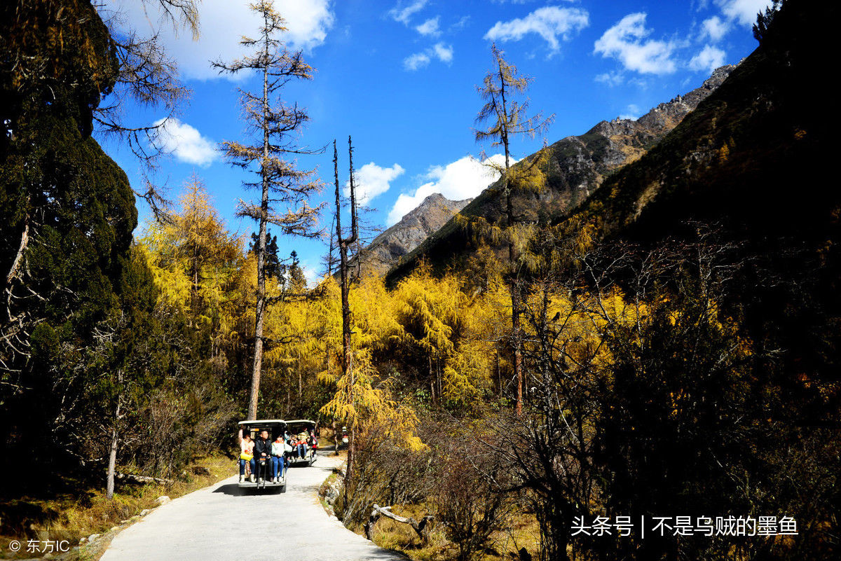 四川藏着中国最美的秋天，成都自驾5个小时即可到达