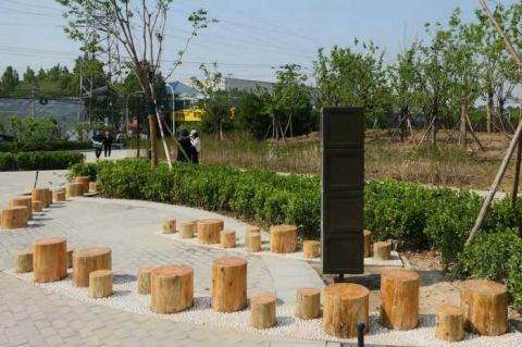  『郊野』视点 | 北京朝阳杜仲公园二期”五一“开园 孙河郊野公园等将陆续开放