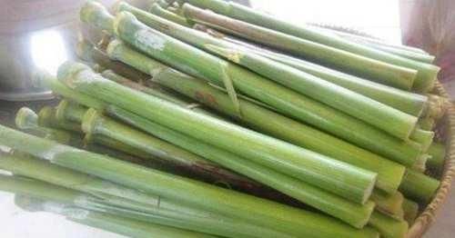  可知|南方有种作物叫甘蔗, 你可知: 到了北方叫什么