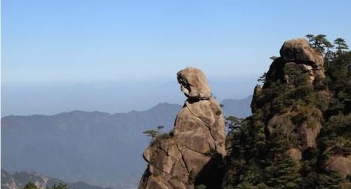 中国森林覆盖率最高的三个省份,第1名非常适合居住,是你家乡?