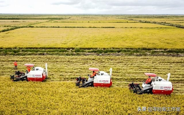  「非洲」在非洲种田：中国杂交水稻让更多非洲朋友吃上大米饭