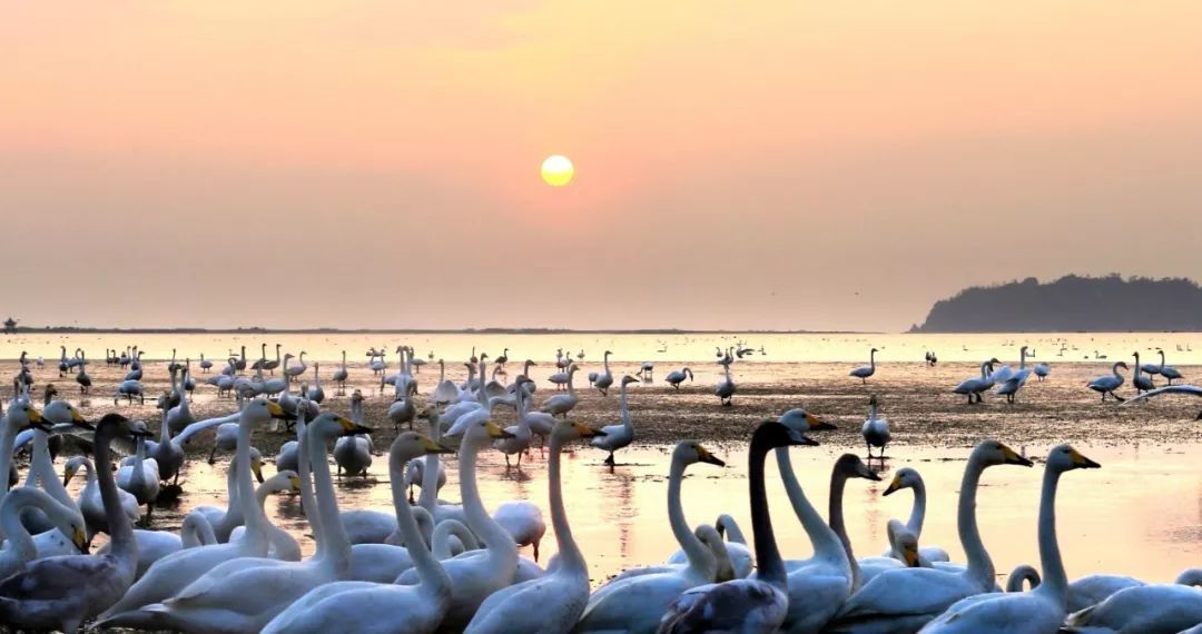 “小城市”为何引来“远方客”？