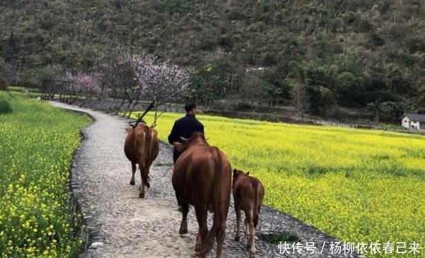 中国唯一的“世外桃源”，全村隐世几百年，想要进村要先下河！