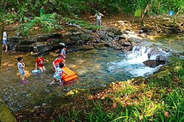 拍美照嬉水纳凉，九溪这两天特别好看，快去打卡