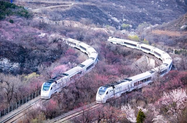  【途径】这条连接上海和成都的高铁，全长1900公里，途径多城，