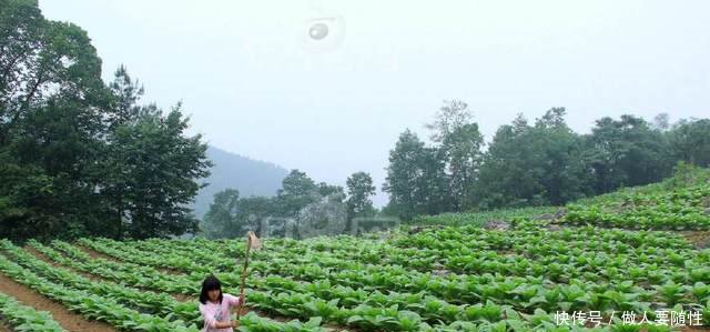 农村扶贫新政出台农村将会有一大群人遭殃，看看有你吗