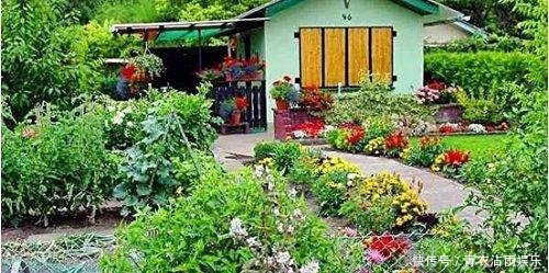  鲜花：适合农村的创业点子，就看你敢不敢做