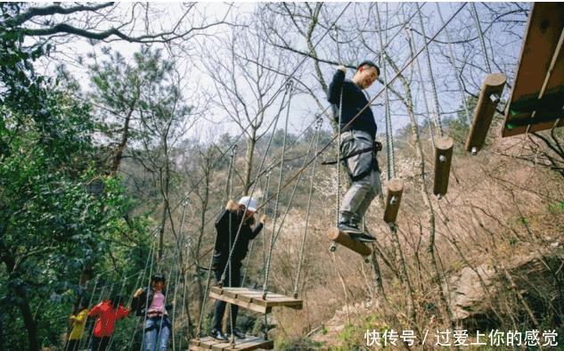 醉美樱花盛放武汉 一起踏上“十里”樱花之旅