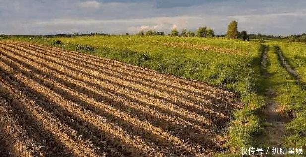 农村这项补贴翻倍, 每亩800元左右, 直补到户, 村干部不再经手!