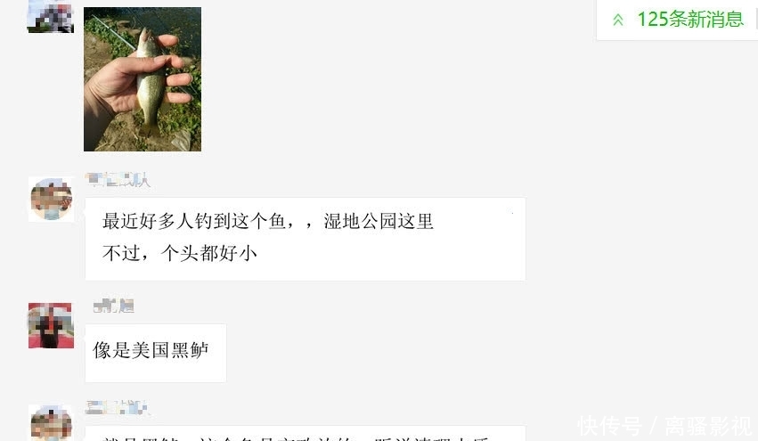 净化水质还是破坏生态？长沙湿地公园，美国黑鲈因放生泛滥了