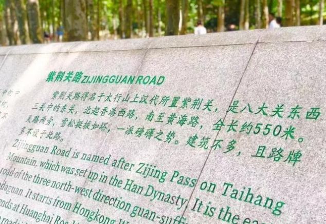 就在青岛！地铁直达、免费开放、紧邻八大关、隐蔽的小树林...这