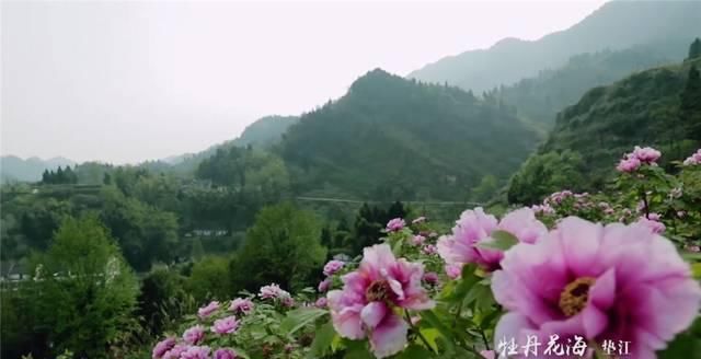 重庆彻底火了！又拿全国第一，网红城市当之无愧！