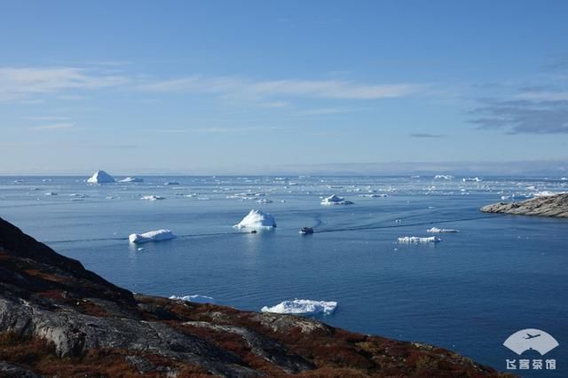 中国小伙北极之旅，入住2000多一晚的当地酒店，鲸鱼肉竟放路边卖