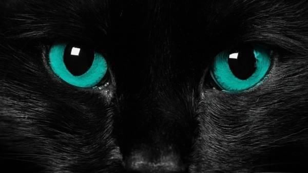 最美的眼睛“猫眼”, 神奇的“南极”大陆和单行道“苏伊士运河”