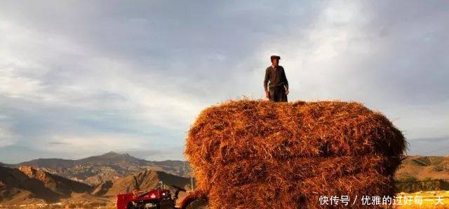 国家要给农民发钱了！本月起，这项补贴将陆续到账，几乎家家都有