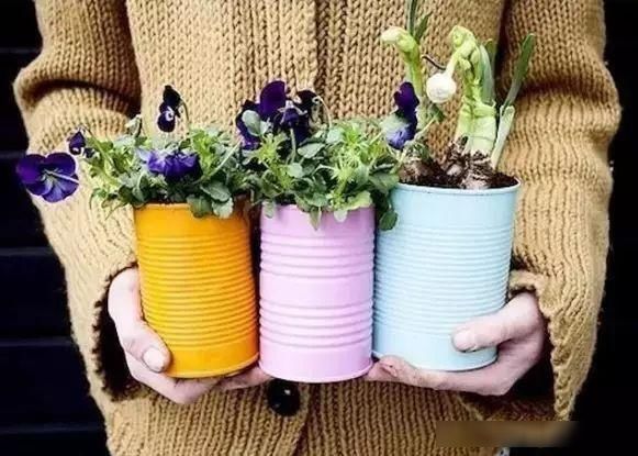  『茶叶罐』茶叶罐、奶粉罐都别扔，还买什么花盆？她没花一分钱，让人羡慕