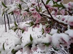  #白天#今天白天河北全省晴 张承有阵风6到7级