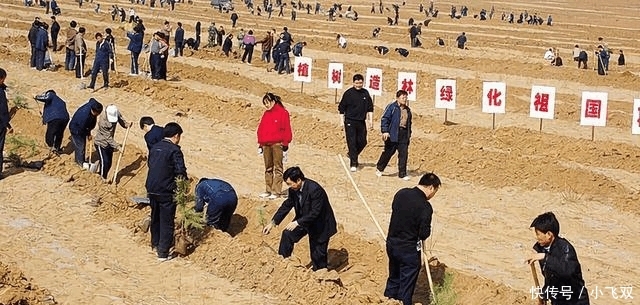  印度■中国又宣布了啥决定? 惊动了全世界人民瞩目, 印度气得直