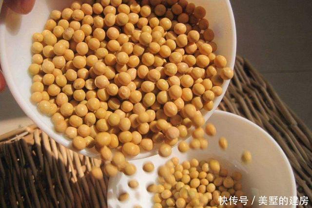  【养花】养花少不了氮磷钾，自制3种花肥，省了肥料钱肥力足