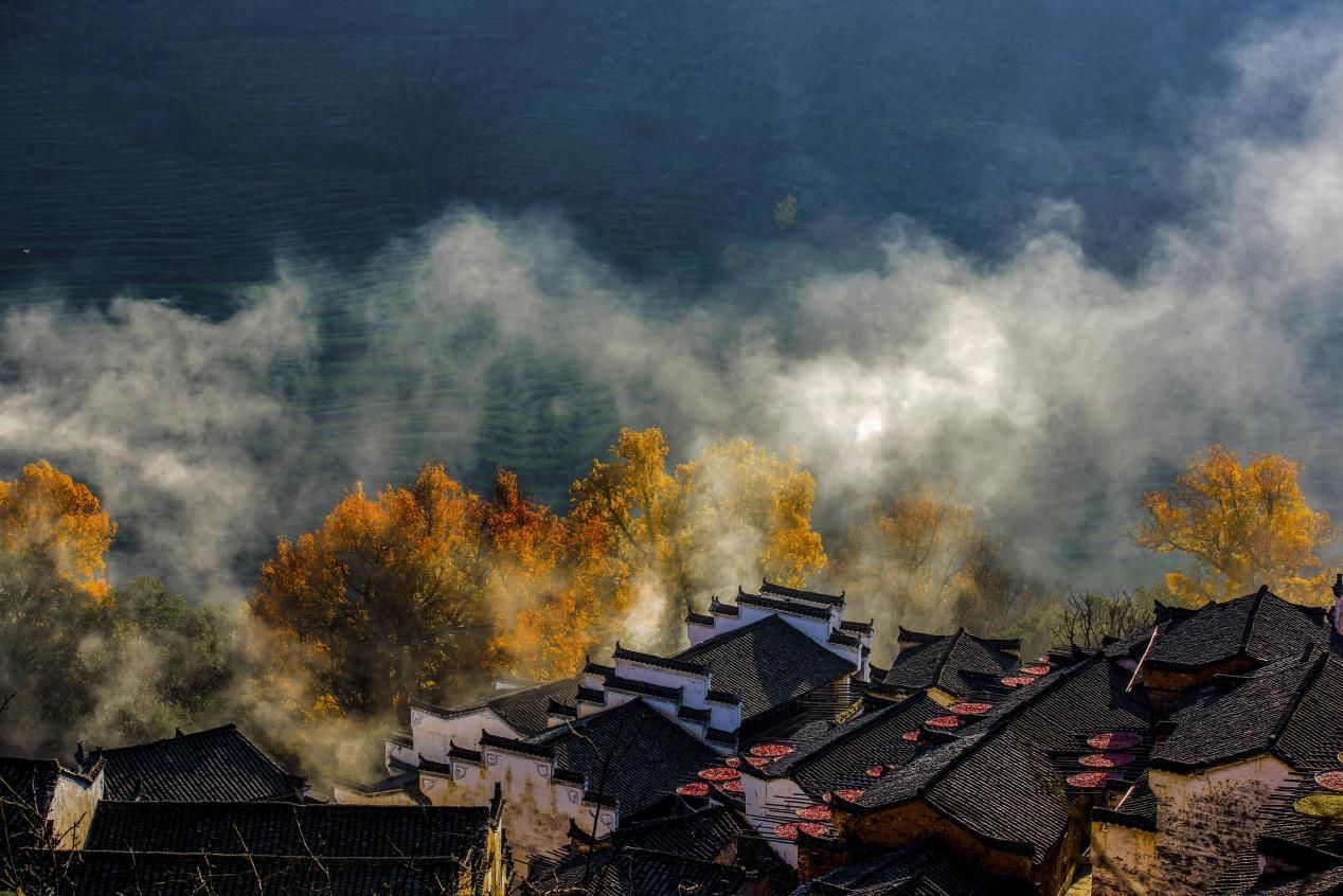 12月，去婺源看中国最长的秋色！