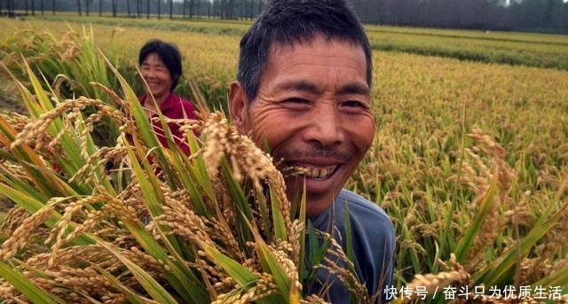  大国|中国有7亿农民，农业生产大国，为啥每年还需要从国外进口