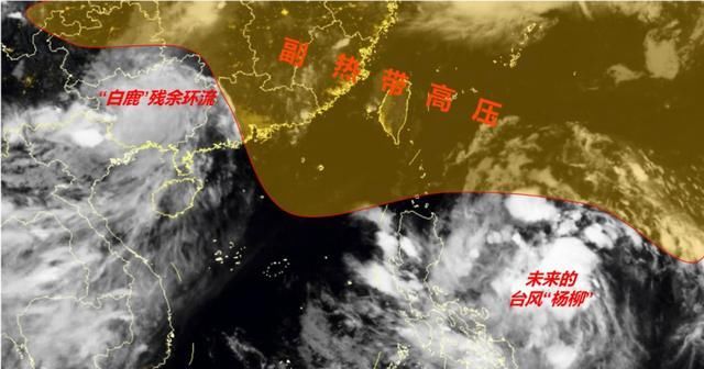  【生成】广州人注意了！广东将遭台风三连击！12号台风“杨柳”