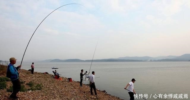 『能力』鱼竿的两种拉力详解,理解后遛鱼能力提升,爆竿概率直线下降