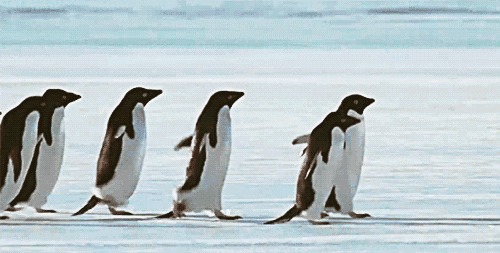 长春天气大反转！明三九，但是天儿竟然一言不合就升温