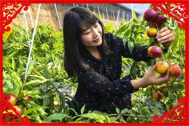  【当地】目前在农村，做什么生意来钱快、来钱多推荐几个供考察