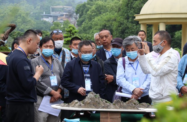  [市级]32位盆景师南山现场赛艺角逐市级盆景大师殊荣