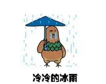 北方大雪、南方大雨，清明节前后的天气这样？ 做好如下应对