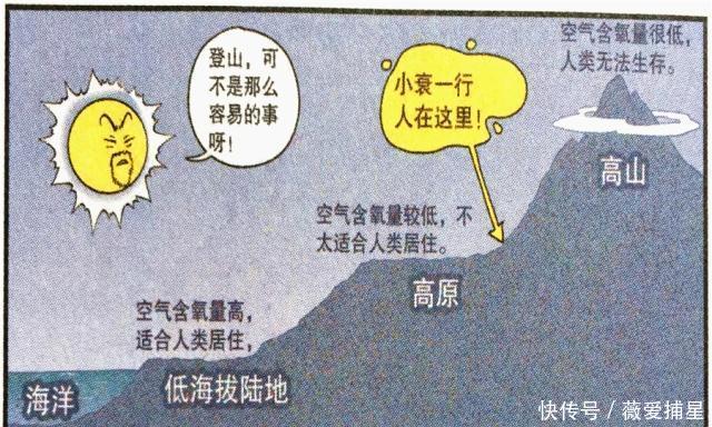 阿衰漫画小衰“葡萄脑袋”真搞笑野百合也有春天！