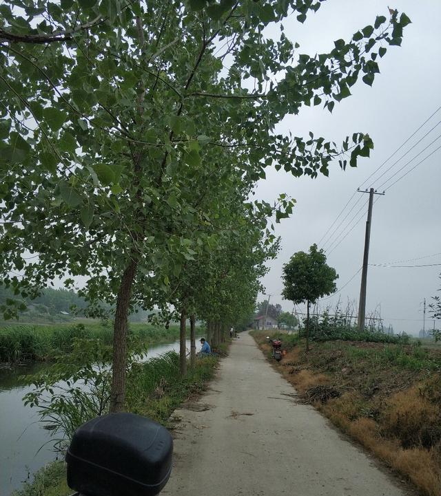 稀巧:正午口稀巧换点,又遇电网肆虐抢鱼忙