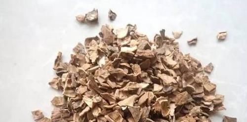  #养花#家家都有的垃圾，却是养花宝贝，抓一把垫盆底，养花肥绿不烂根！