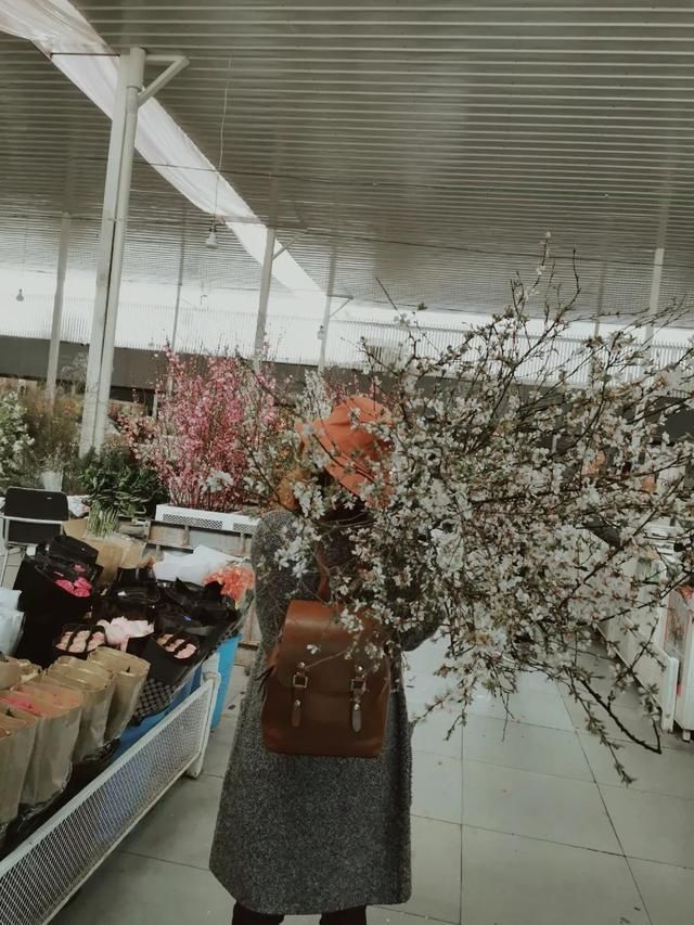  『春暖花开』春暖花开 在九月等你