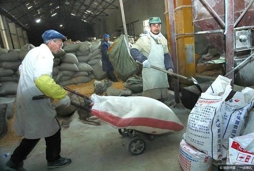  「大市场」适合农村在家创业的四个好项目，简单操作，有很大市