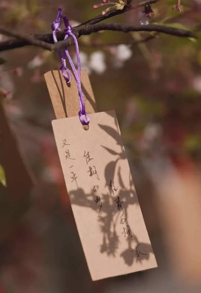  「究竟」云看花，中国美丽高等院校究竟看哪儿？