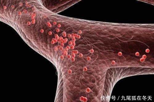 养生专家盘点关于喝醋的4条谣言，你被骗了多久？