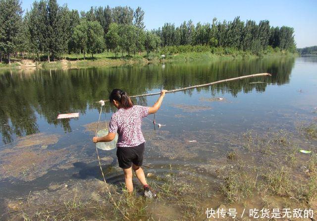  幼虫：农村河中捕到这种鱼，一定记着再放回水中