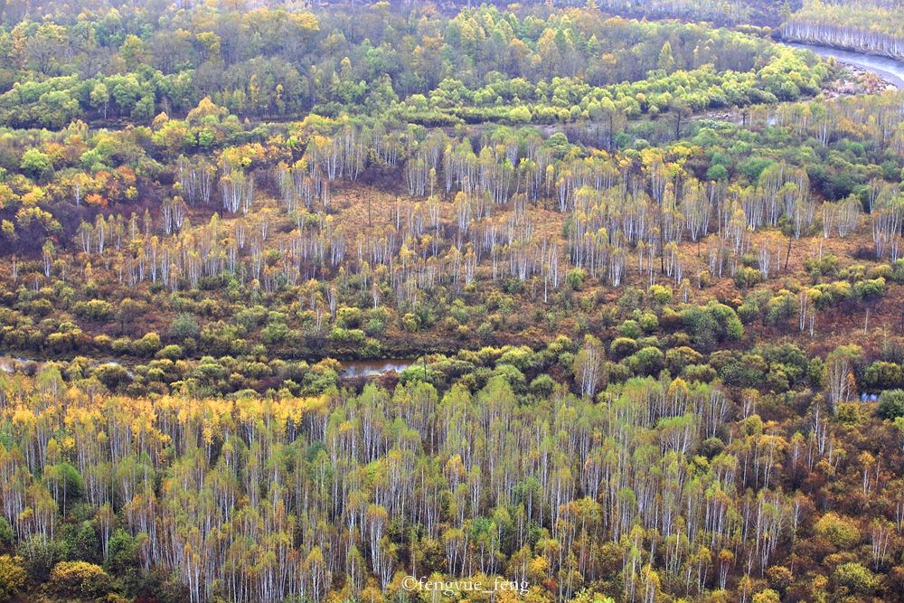 大兴安岭特大火灾澳洲火灾
