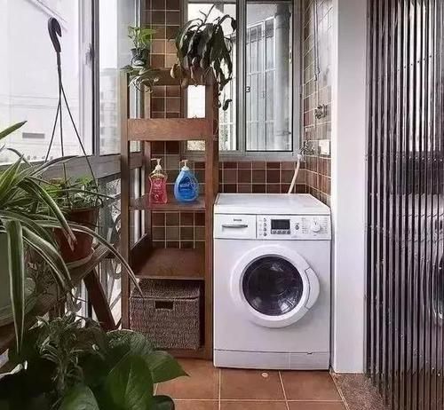  花盆■密闭阳台该如何养好花？浇水满足3个前提，不通风也能疯长