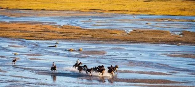 有一种美，叫秋天的乌兰布统