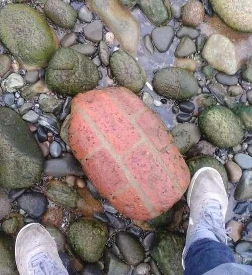 20张不可思议的照片，证明大自然无所不能！