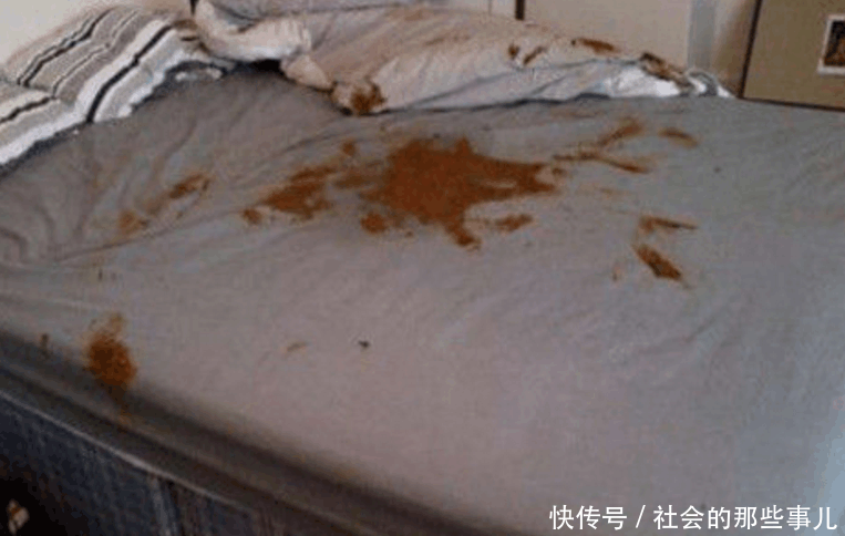 男子带女子过夜,隔天醒来闻到一股恶臭味,翻开